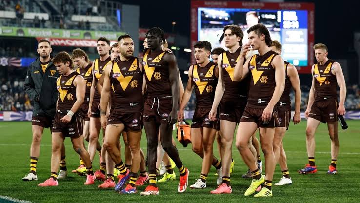 GOOD NEWS: Netflix set to release a documentary about the Hawthorn football in…