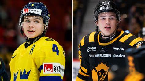 BREAKING: Detroit Red Wing Head Coach Todd McLellan Drop Comment on Axel Sandin-Pellikka Exceptional Performance at the SHL Saying that Sandin-Pellikka Might be the….